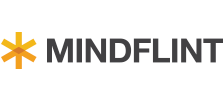 Mindflint